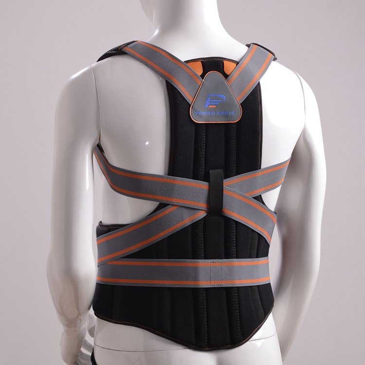 Back Support
